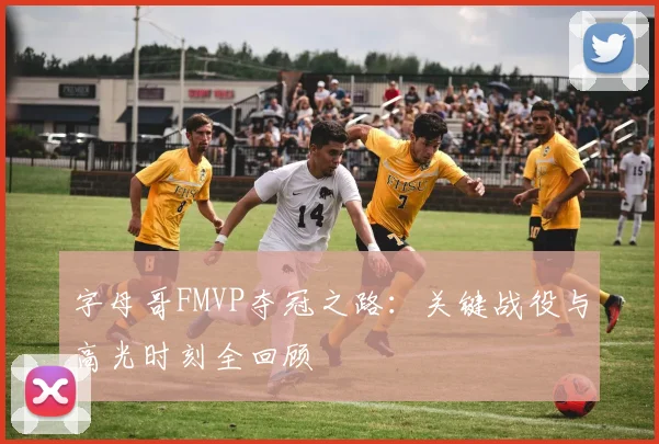 字母哥FMVP夺冠之路：关键战役与高光时刻全回顾